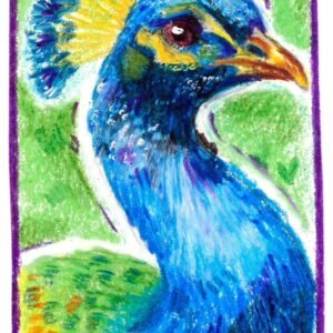 PAVO REAL