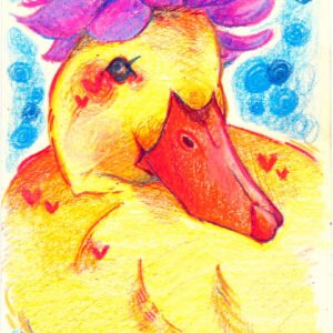 Pato